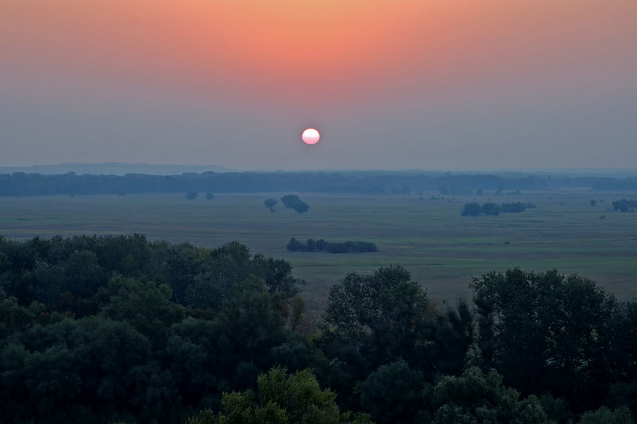 DSC_5801.jpg (81002 bytes)